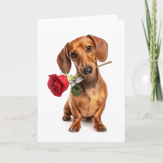Dachshund Valentinstag Karte (Vorderseite)