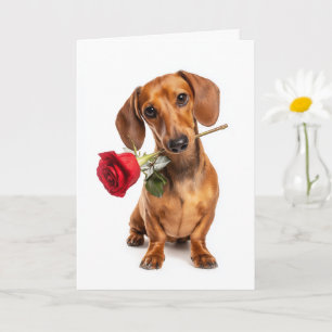 Dachshund Valentinstag Welpenliebe mit einer Rose Karte