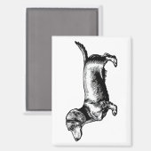 Dachshund-Vintage-Stichillustration Magnet (Vorderseite/Rückseite)