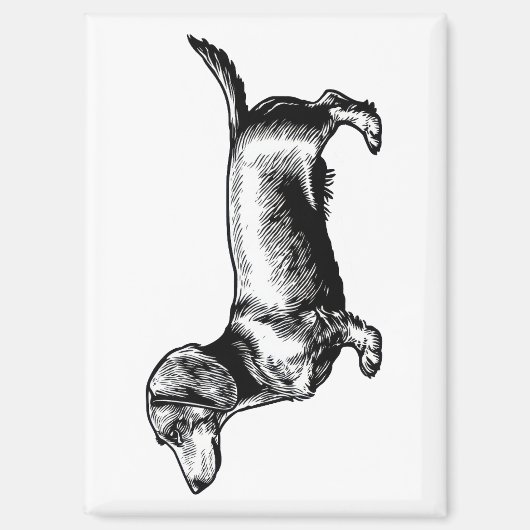 Dachshund-Vintage-Stichillustration Magnet (Vorderseite)