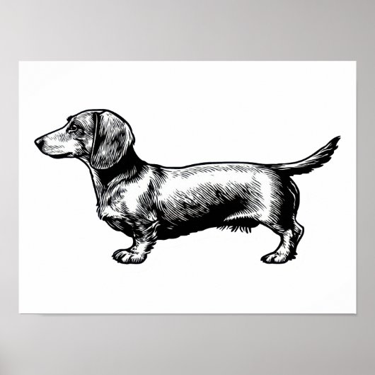 Dachshund-Vintage-Stichillustration Poster (Vorne)