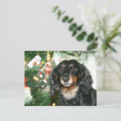Dachshund Weihnachten (Stehend Vorderseite)