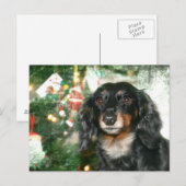 Dachshund Weihnachten (Vorne/Hinten)