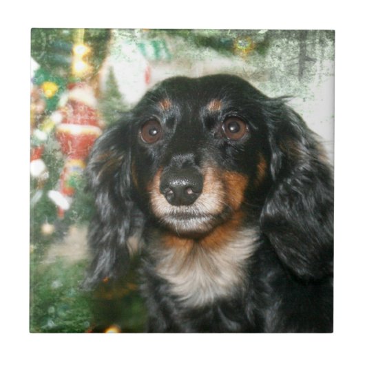 Dachshund Weihnachten Fliese (Vorderseite)