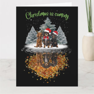 Dachshund Weihnachten kommt Lustiges Hunde Grafik  Karte