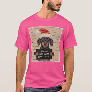 Dachshund Weihnachten Lieber Santa Ich kann erklär T-Shirt