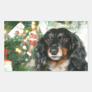 Dachshund Weihnachten Rechteckiger Aufkleber