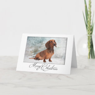 Dachshund-Weihnachtskarte Feiertagskarte