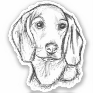 Dachshund-Welpe Hund schwarz weiß einfache Skizze Aufkleber