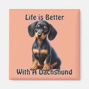 Dachshund-Welpe sitzt und schaut mit unschuldigem  Magnet