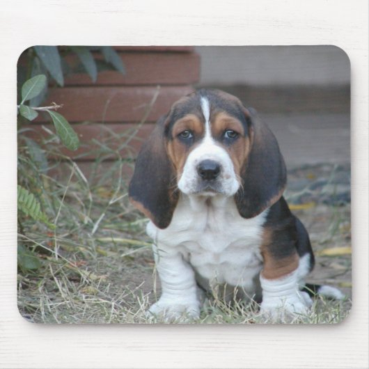 Dachshund-Welpen-Mausunterlage Mousepad (Vorne)