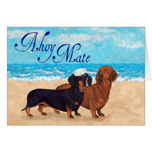 Dachshunde am Strand
