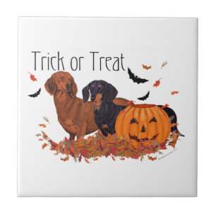 Dachshunde Halloween Fliese