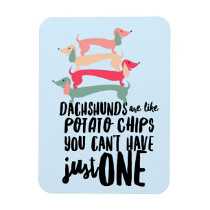 Dachshunde sind wie Kartoffelchips 3"x4"Foto-Magne Magnet