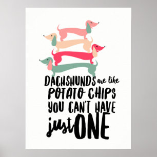 Dachshunde sind wie Kartoffelchips Poster