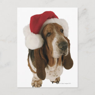 Dachshundjagdhund in der Weihnachtsmannmütze Feiertagspostkarte