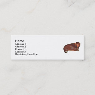 Dachshundnt Mini Visitenkarte