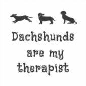 Dachshunds sind mein Therapeut Süßer Dachshund Aufkleber (Vorderseite)