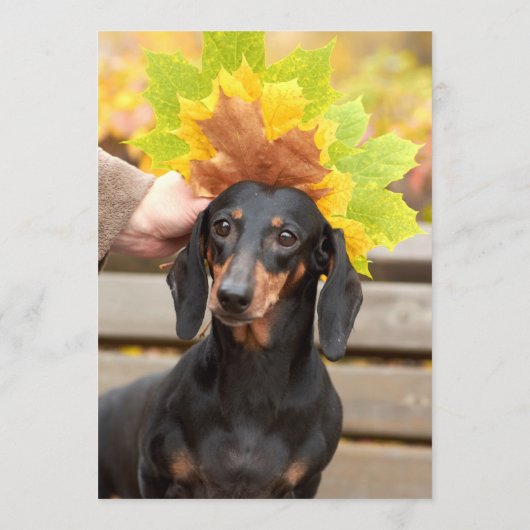 Dachsund Bar Menükarte (Rückseite)