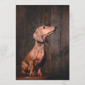 Dachsund Bar Menükarte (Rückseite)