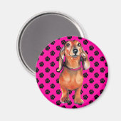 Dachsund Red Dackel Magnet (Vorderseite/Rückseite)