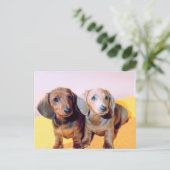 Dachsund Welpen Postkarte (Stehend Vorderseite)