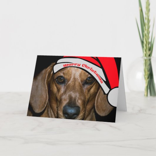Dachsunds fröhliche Weihnachtskarte Feiertagskarte (Vorderseite)