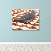 Dachtaube Canvas Print Leinwanddruck (Insitu (Holzboden))