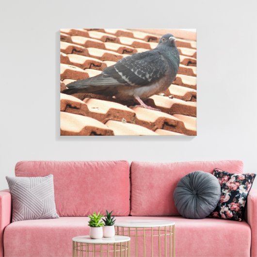 Dachtaube Canvas Print Leinwanddruck (Insitu (Wohnzimmer))