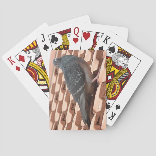 Dachtaube Spielkarten (Rückseite)