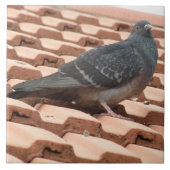 Dachtaube Tile Fliese (Vorderseite)