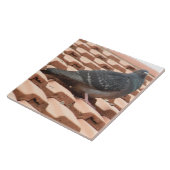 Dachtaube Tile Fliese (Seite)