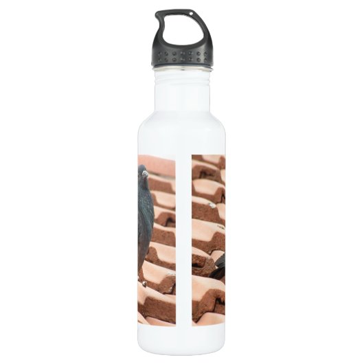 Dachtaube Trinkflasche (Rückseite)