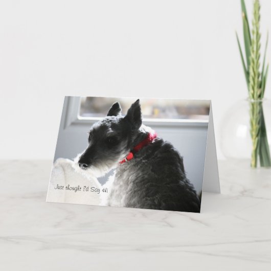 Dachte gerade, dass ich hallo sagen würde karte (Vorderseite)