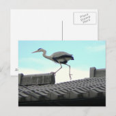 Dachwandler Postkarte (Vorne/Hinten)