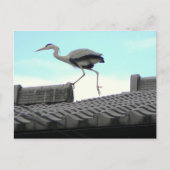 Dachwandler Postkarte (Vorderseite)