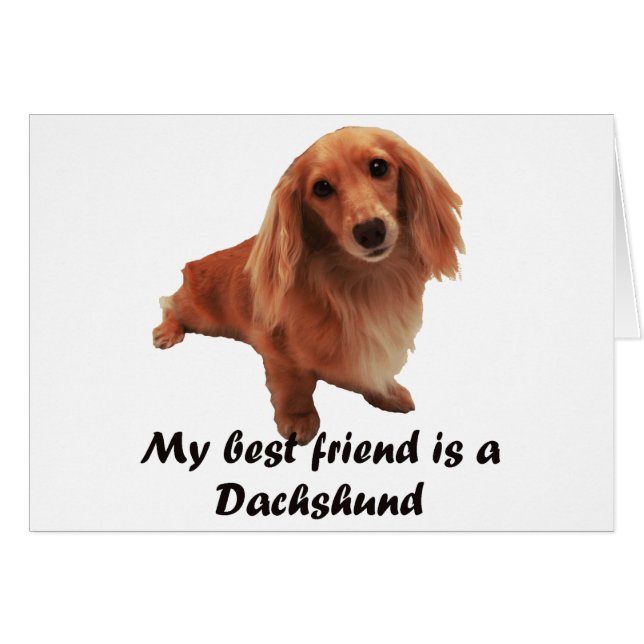 ‚Dackel‘ (Vorderseite (Horizontal))