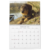 Dackel 2009 - kundengerechter Kalender! Kalender (Feb 2027)