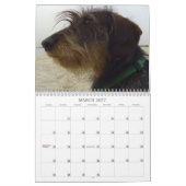 Dackel 2009 - kundengerechter Kalender! Kalender (Mär 2027)