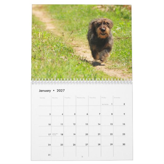 Dackel 2011 - kundengerechter Kalender! Kalender (Jan 2027)