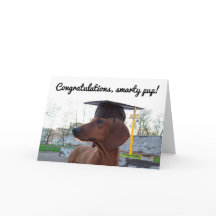 Dackel 2017 Graduation Cap & Charm Hund Smarty
