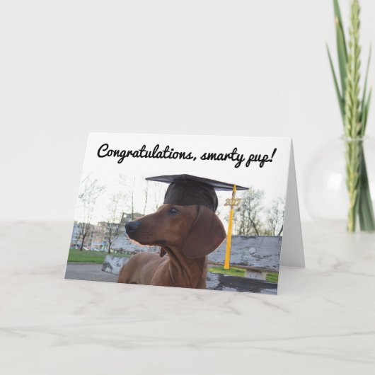 Dackel 2017 Graduation Cap & Charm Hund Smarty Karte (Vorderseite)