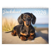 Dackel 2026 kalender (Titelbild)