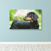 DACKEL 2 LEINWANDDRUCK (Insitu (Holzboden))