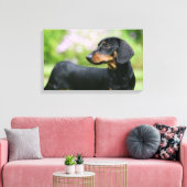 DACKEL 2 LEINWANDDRUCK (Insitu (Wohnzimmer))