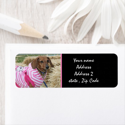 Dackel-Adressetiketten (Insitu)