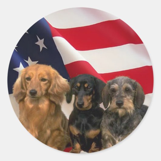 Dackel America Sticker (Vorderseite)