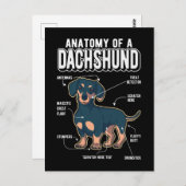 Dackel Anatomie Funny Dog Postkarte (Vorne/Hinten)