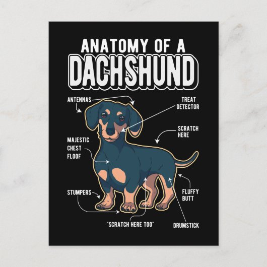 Dackel Anatomie Funny Dog Postkarte (Vorderseite)