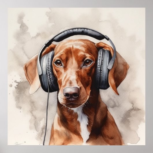 Dackel auf Kopfhörern Poster (Vorne)